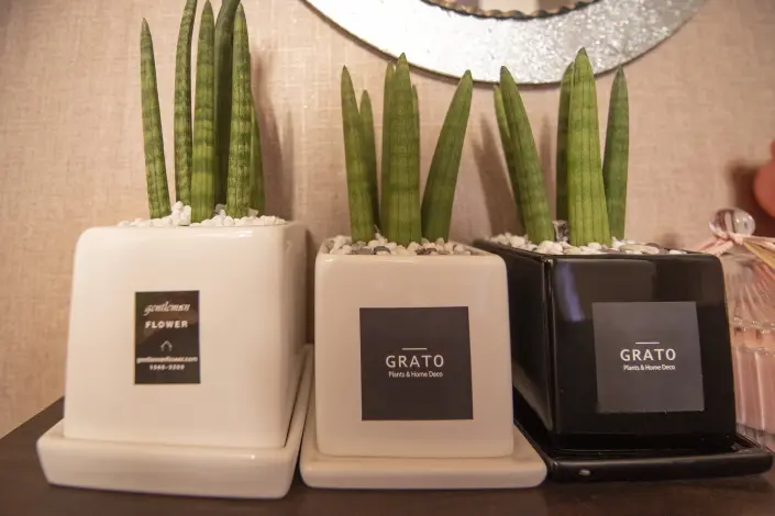 가경동 홍콩아로마 마사지샵 사진 7