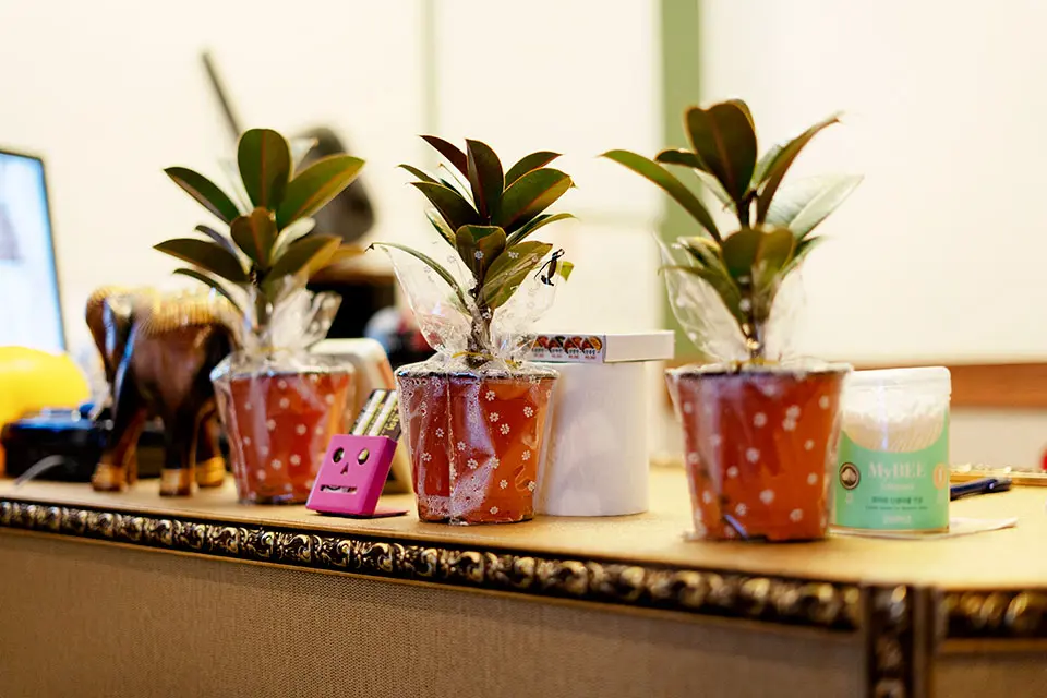 역삼동 힐링전통테라피 마사지샵 사진 9