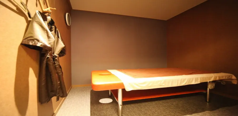 시크릿스웨디시