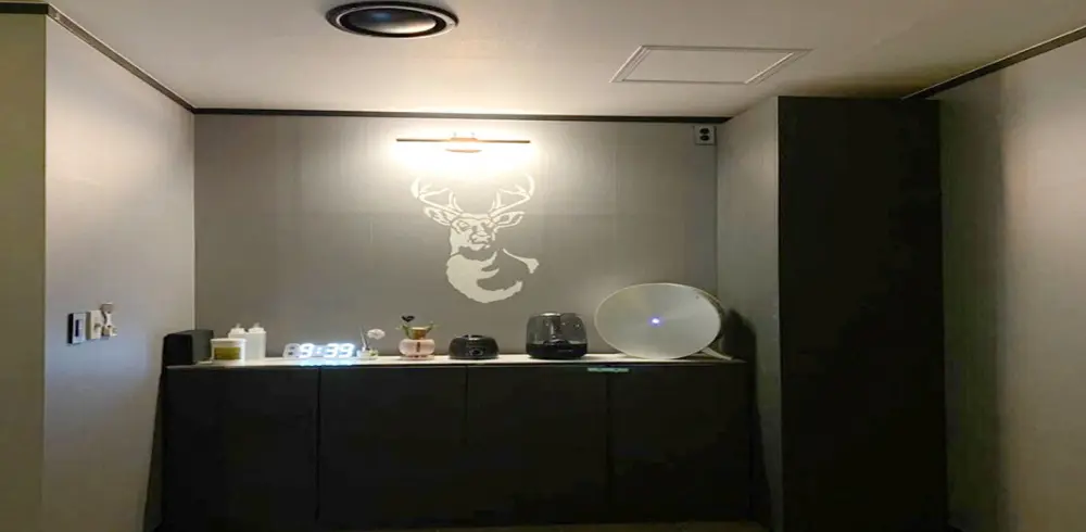 브라운스웨디시