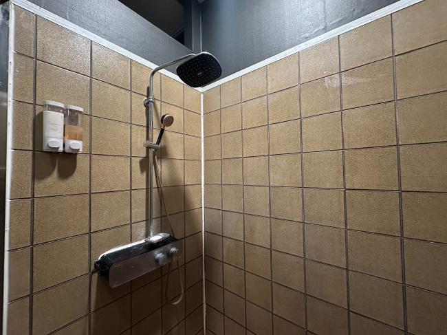 디아나스웨디시