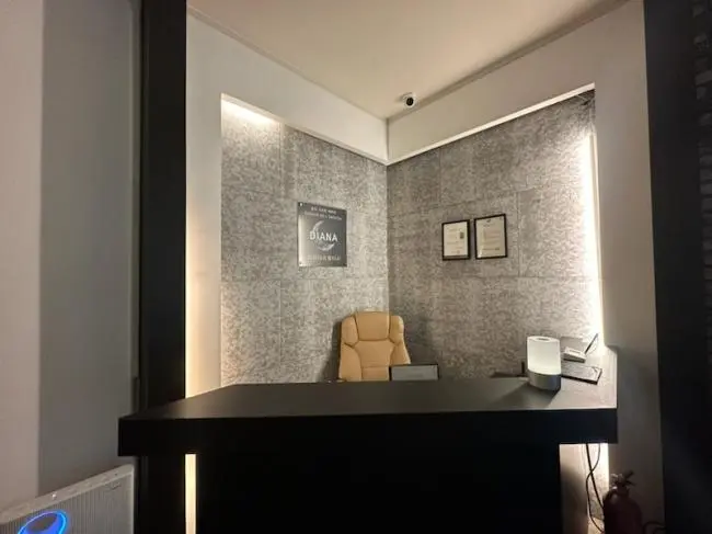 디아나스웨디시