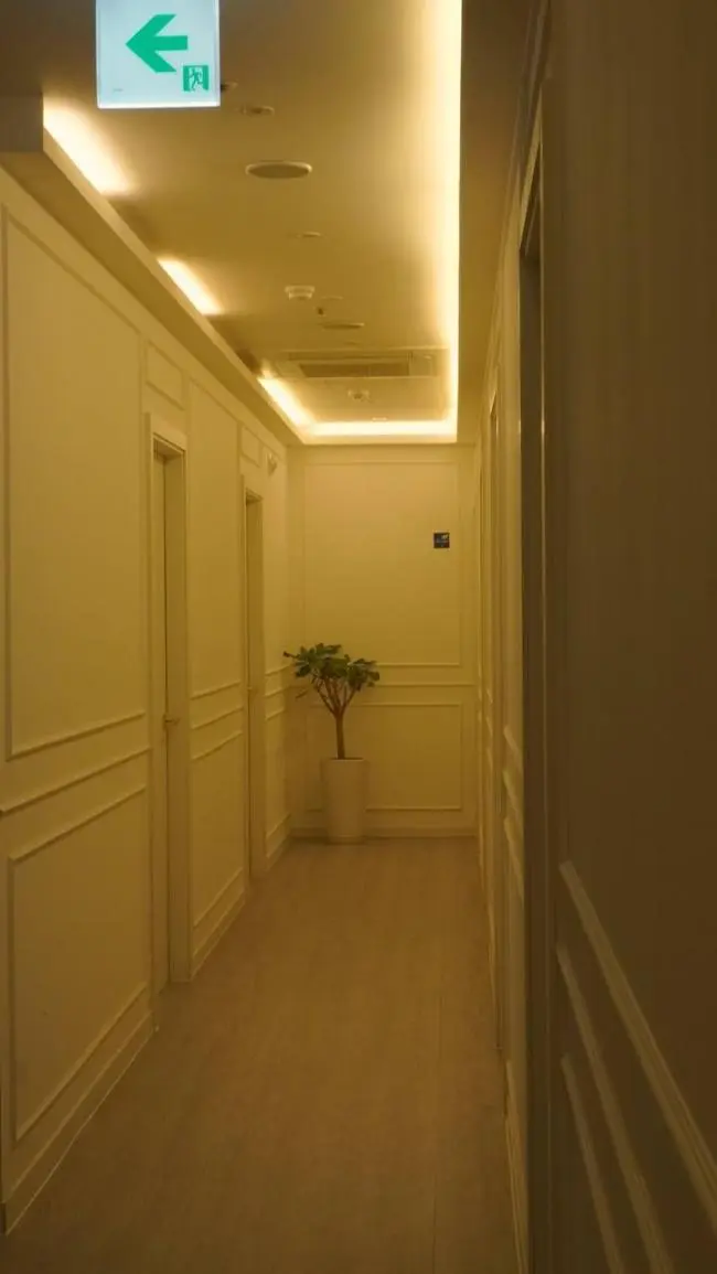 아우라스웨디시