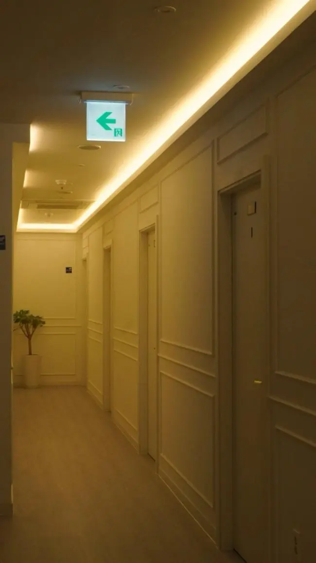 아우라스웨디시