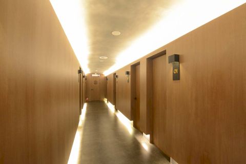 플렉스스웨디시