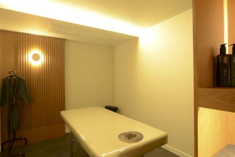 플렉스스웨디시