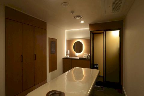 플렉스스웨디시