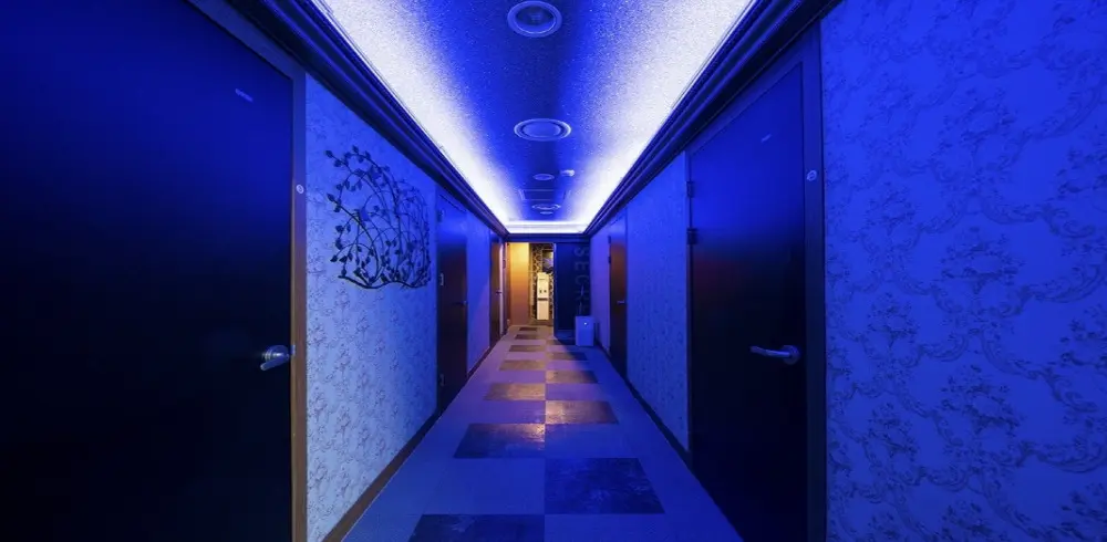 원효로2가 트리쉐이드&스웨디시 마사지샵 사진 1