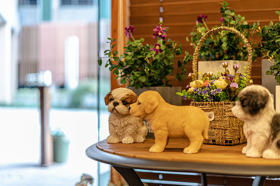 불당동 휴스파&타이 마사지샵 사진 11