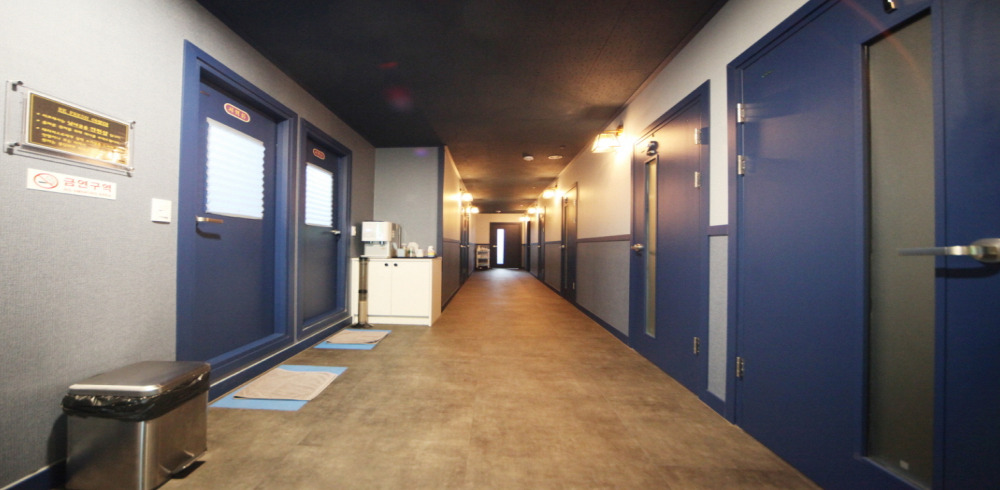 리프레시아로마