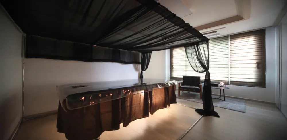 민들레스웨디시