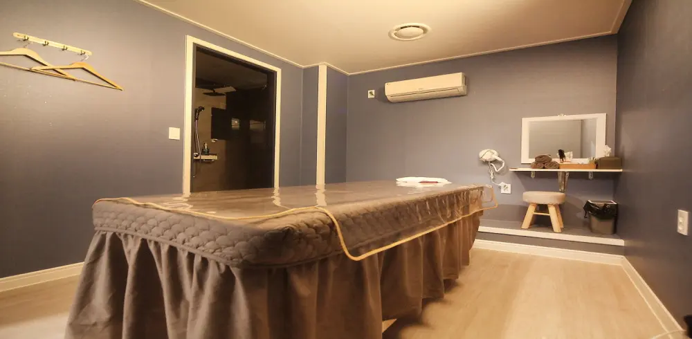 더바디스웨디시