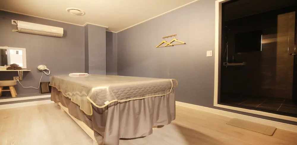 더바디스웨디시