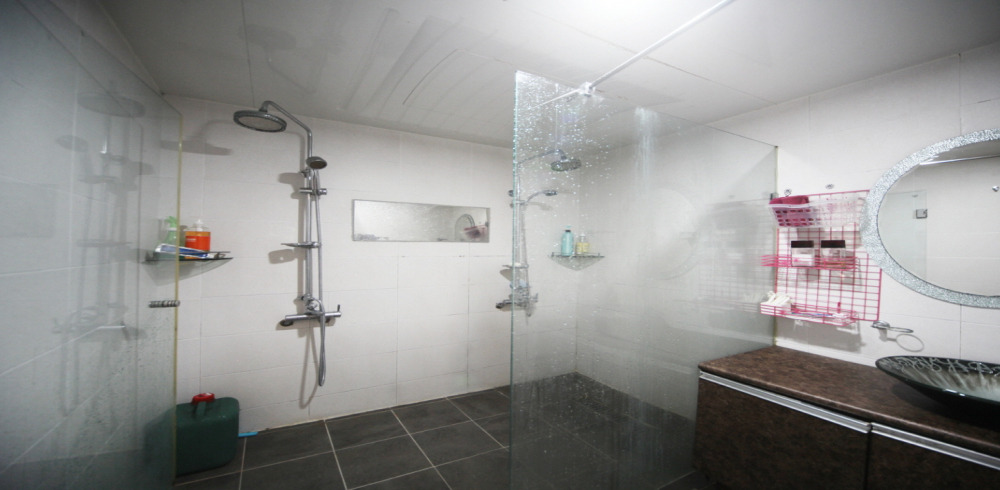 하와이안아로디시