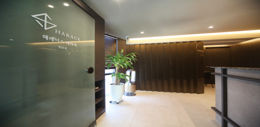 헤레이스테라피