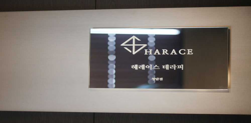 헤레이스테라피