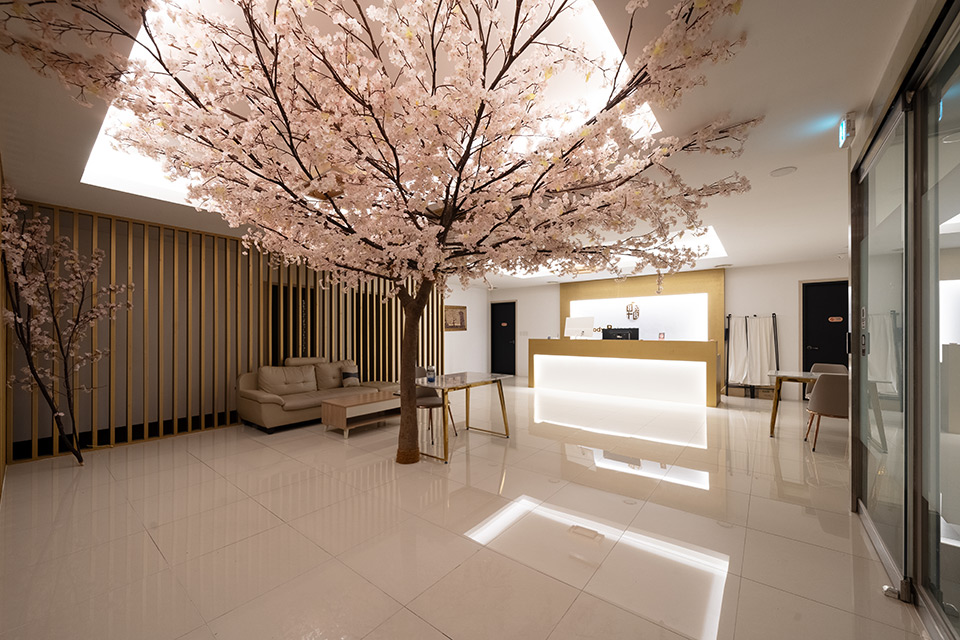 비비타이밸런스