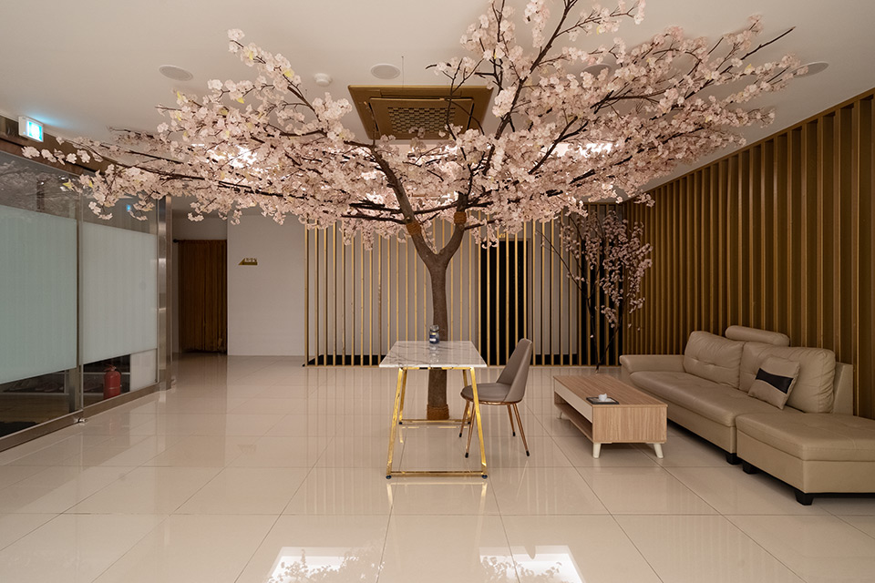 비비타이밸런스