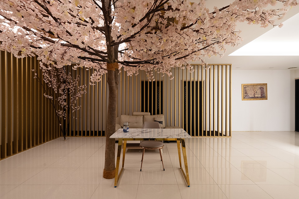 비비타이밸런스