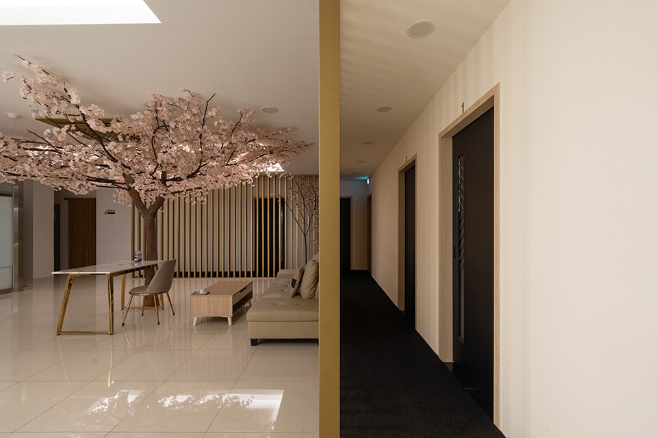 비비타이밸런스