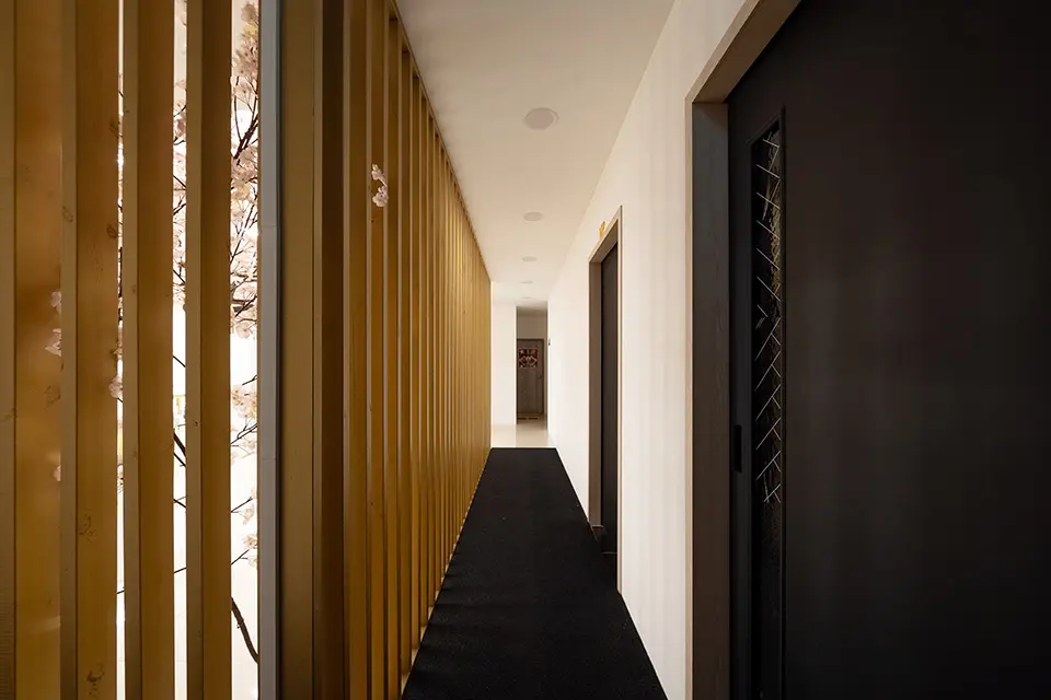 비비타이밸런스