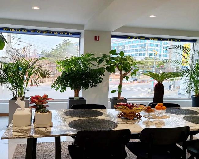 덕풍동 스파앤테라피 마사지샵 사진 7