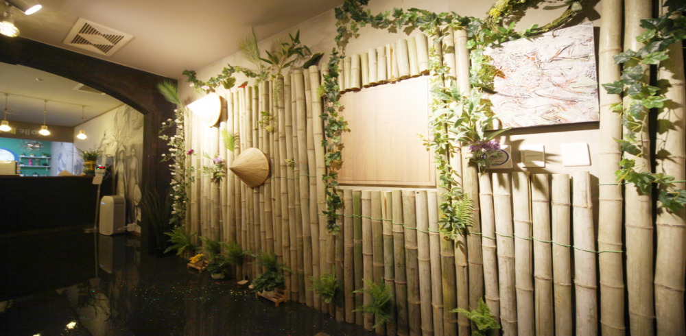 베트남황제케어