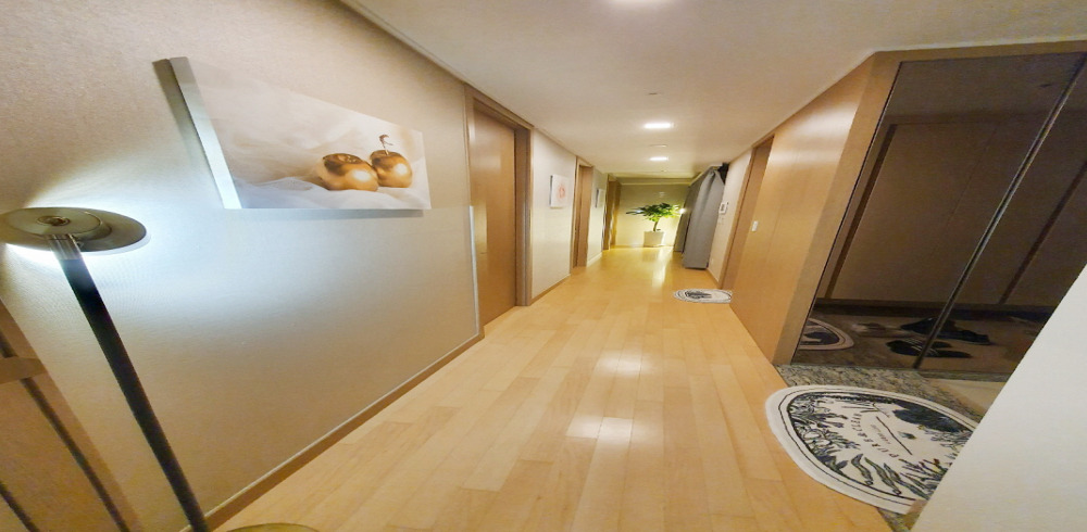 여우비스웨디시