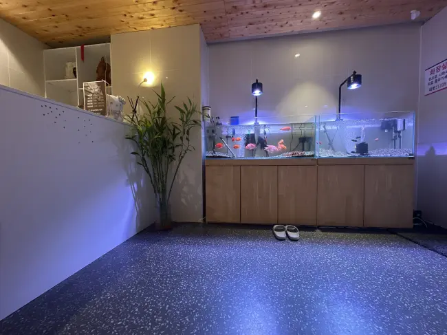 당산동3가 명손 마사지샵 사진 2