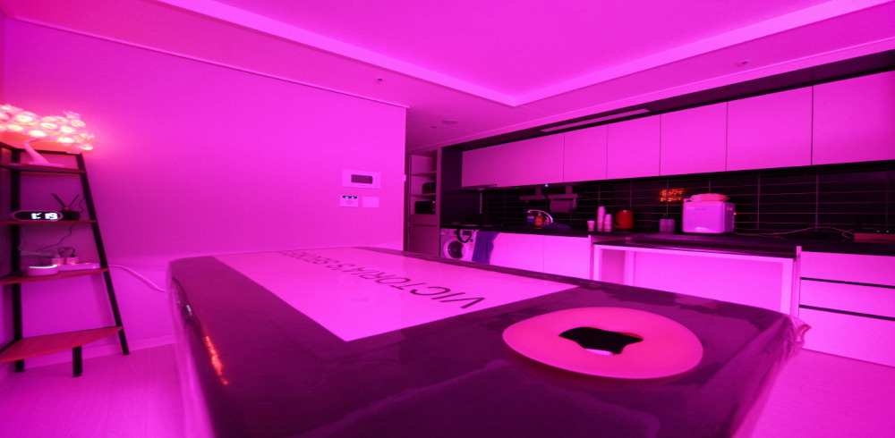 레인보우테라피