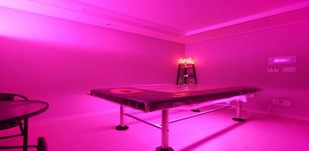 레인보우테라피