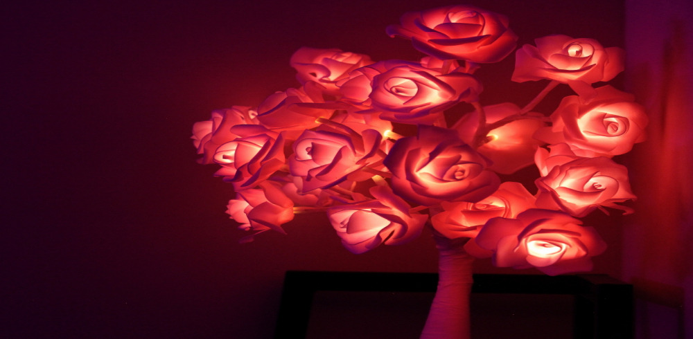 레인보우테라피