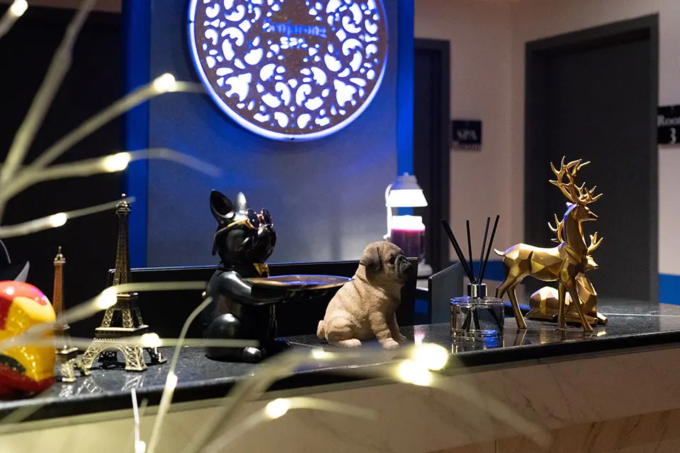 신림동 이브테라피 마사지샵 사진 2