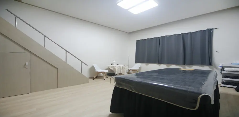 바닐라스웨디시