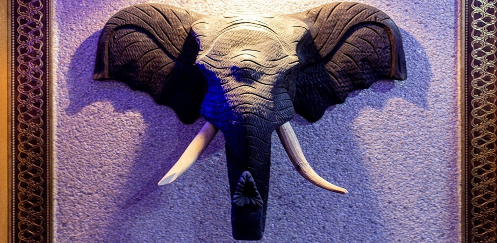 힐링캠프(남양)