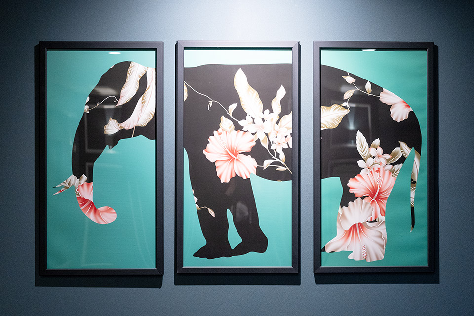 관양동 뉴타이 마사지샵 사진 4