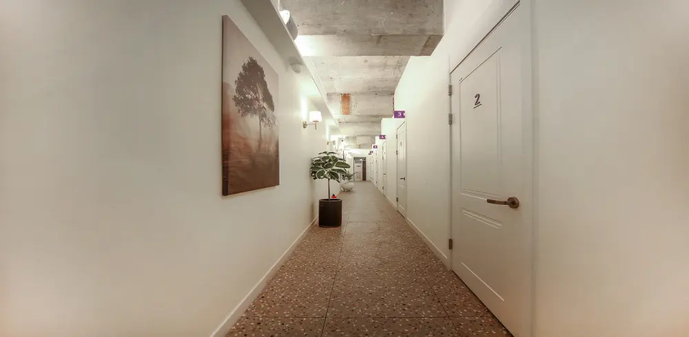 더힐링정통관리