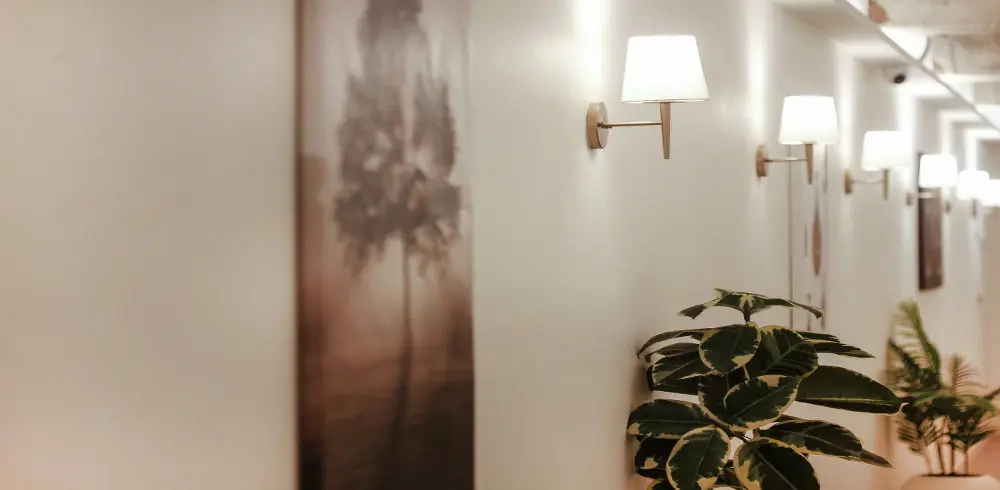 더힐링정통관리