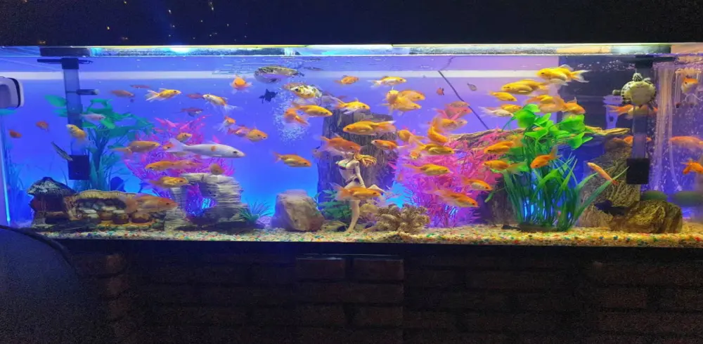 심곡동 엄지손 마사지샵 사진 2