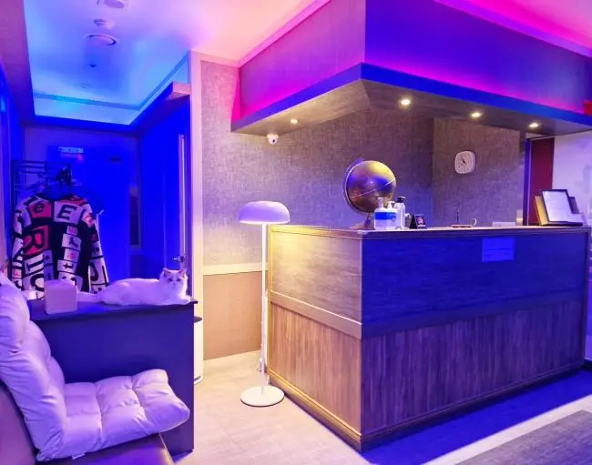 반하다스웨디시