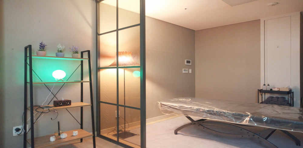 스카이스웨디시