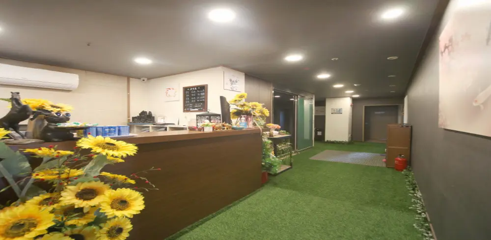 신호동 하임타이 마사지샵 사진 1