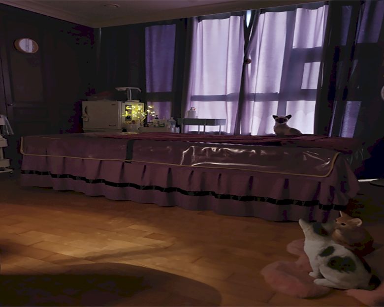 우동 센텀여우테라피 마사지샵 사진 2