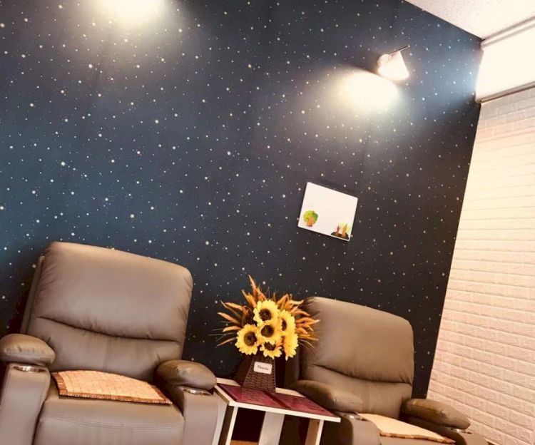 귀족정통발관리