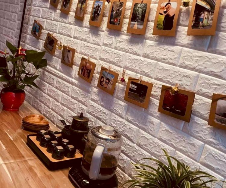 귀족정통발관리