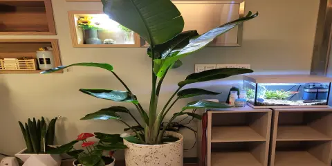 퇴계동 지첸테라피 마사지샵 사진 7