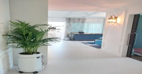 도룡동 브이테라피 마사지샵 사진 9