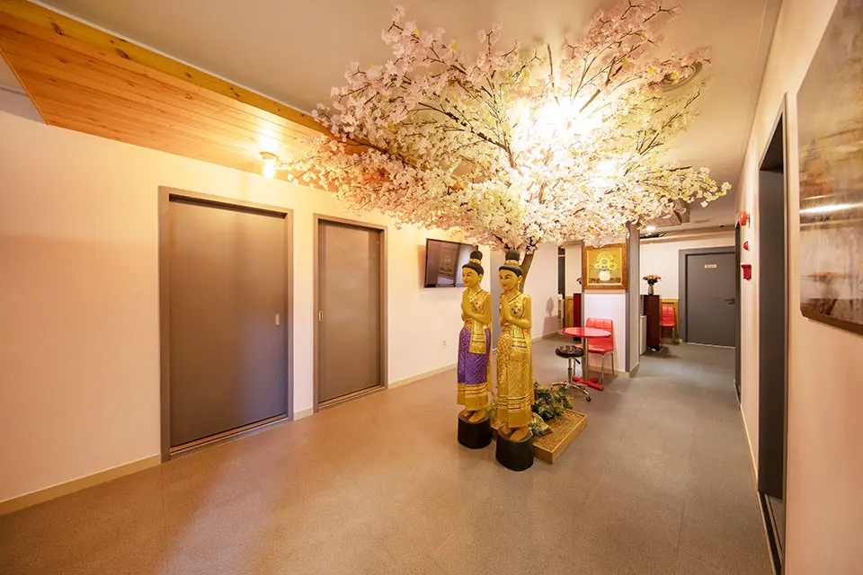 일프로타이아로마