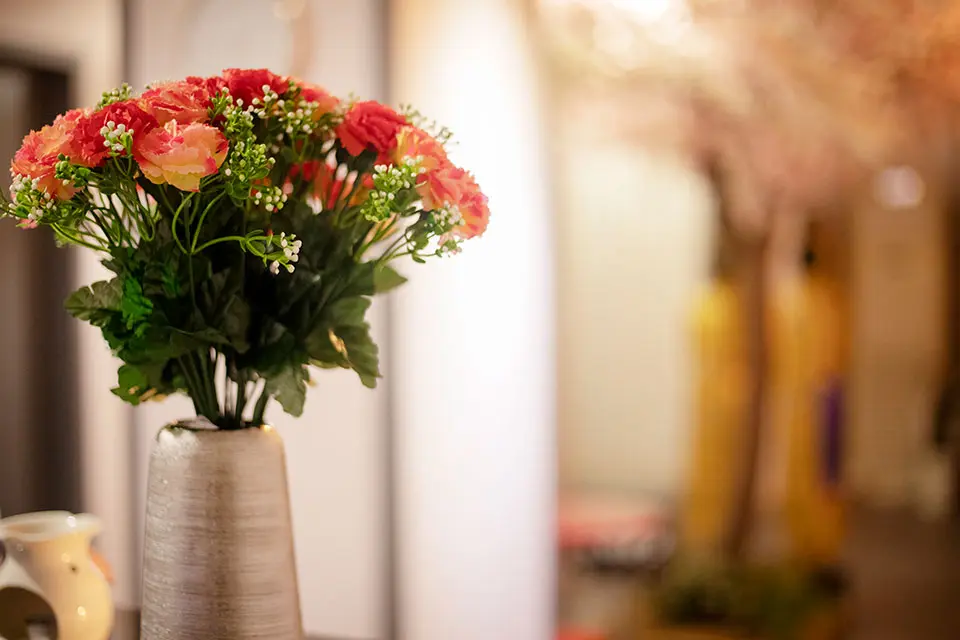 일프로타이아로마