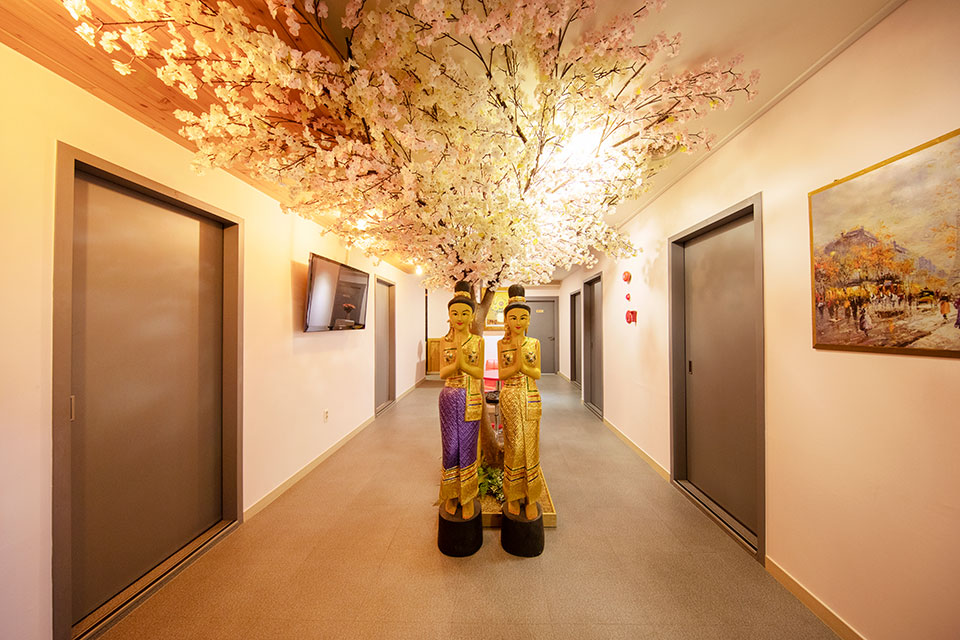 일프로타이아로마